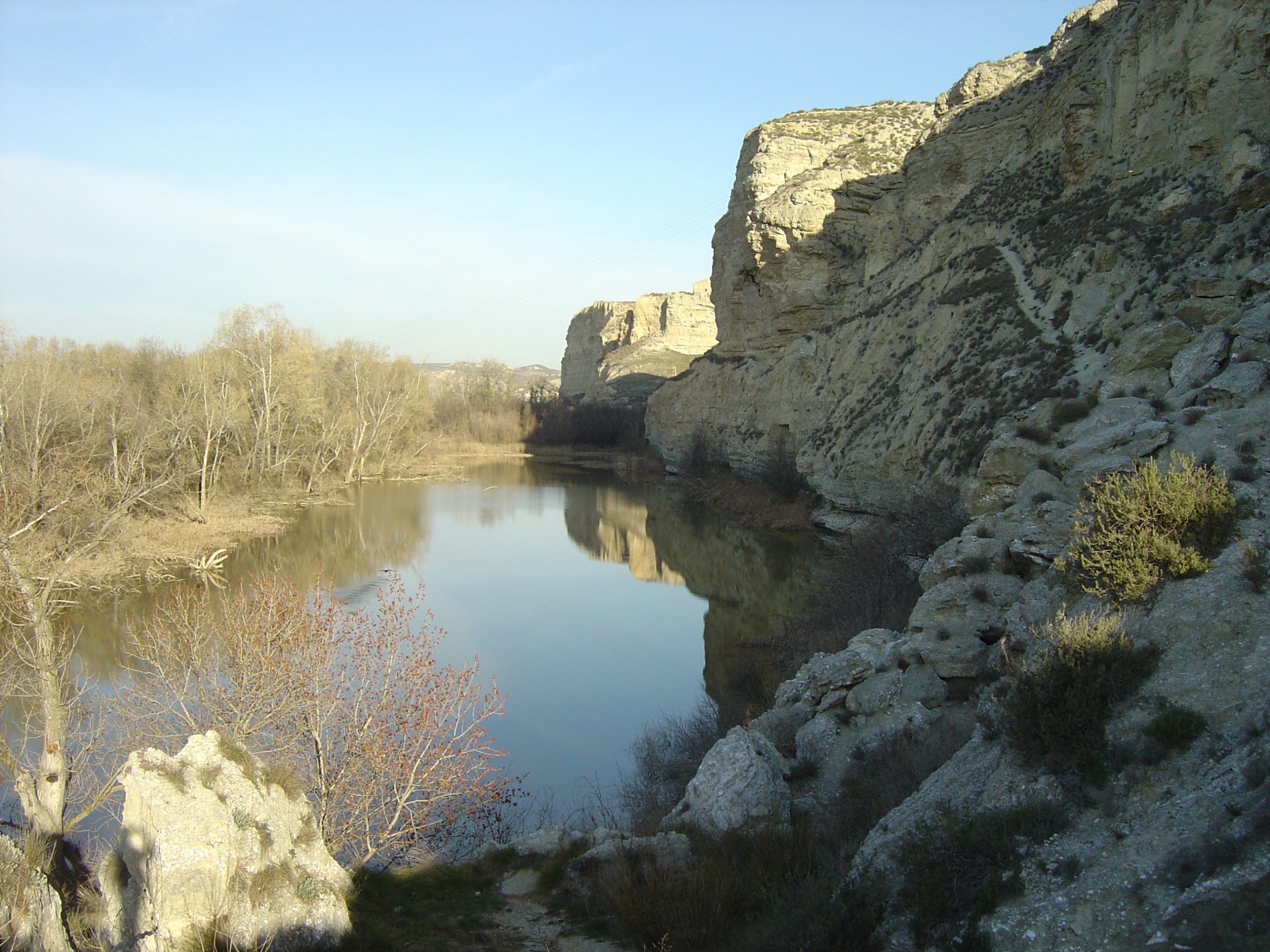 5Galachos-de-Juslibol.-Medio-Ambiente-2